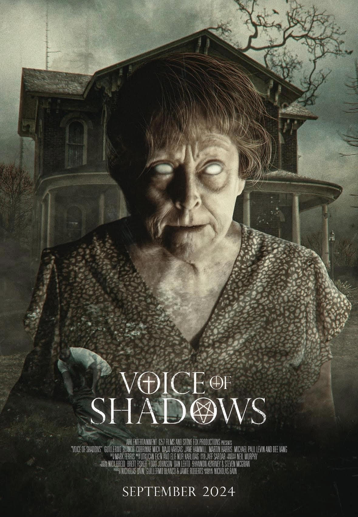 Voice of Shadows (2024)